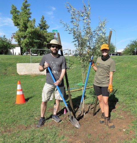 AZSA Tree Planting sm.JPG