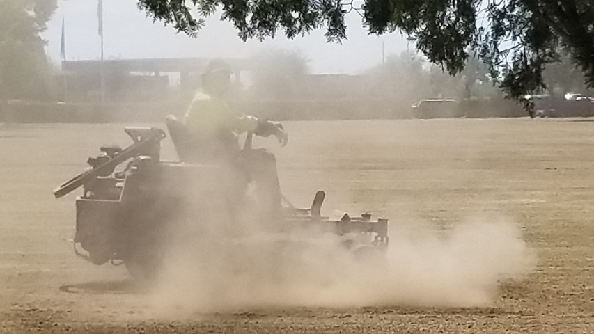 Scalping Grass with Dust Cloud (small).jpg