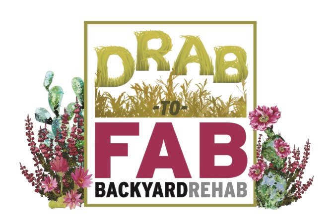 Drab to Fab Backyard Rehab