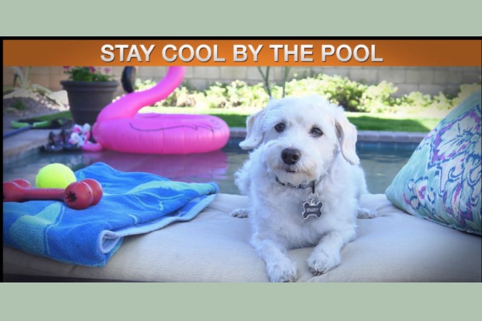 Stay Cool by the Pool