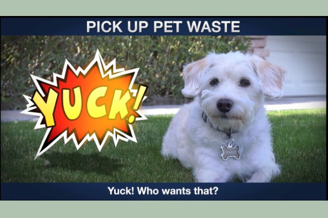 Pick Up Pet Waste