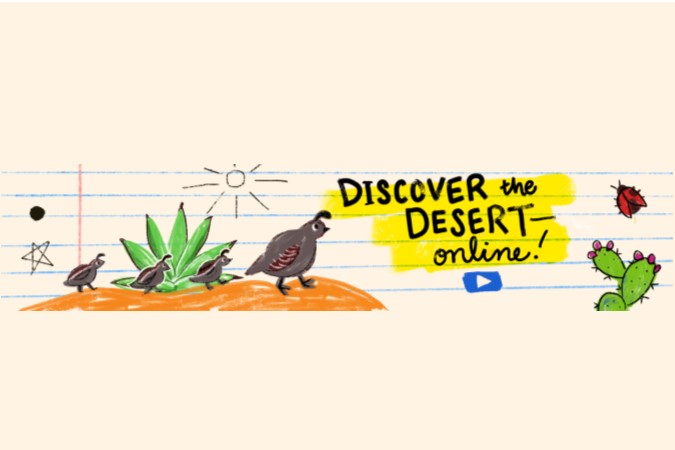 Discover the Desert