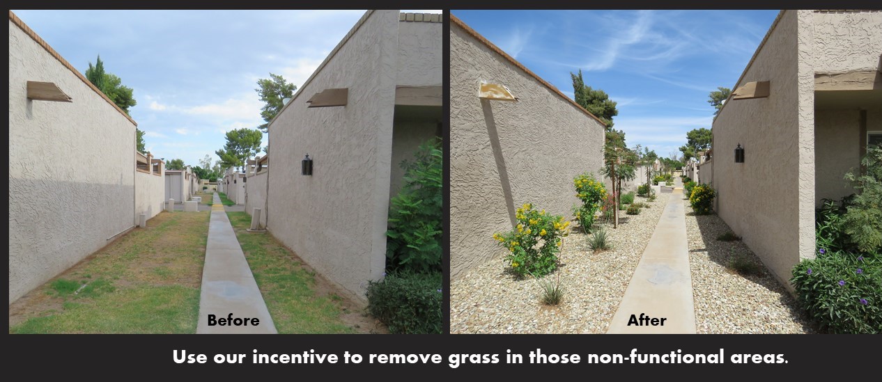 HOA Grass Removal Incentive