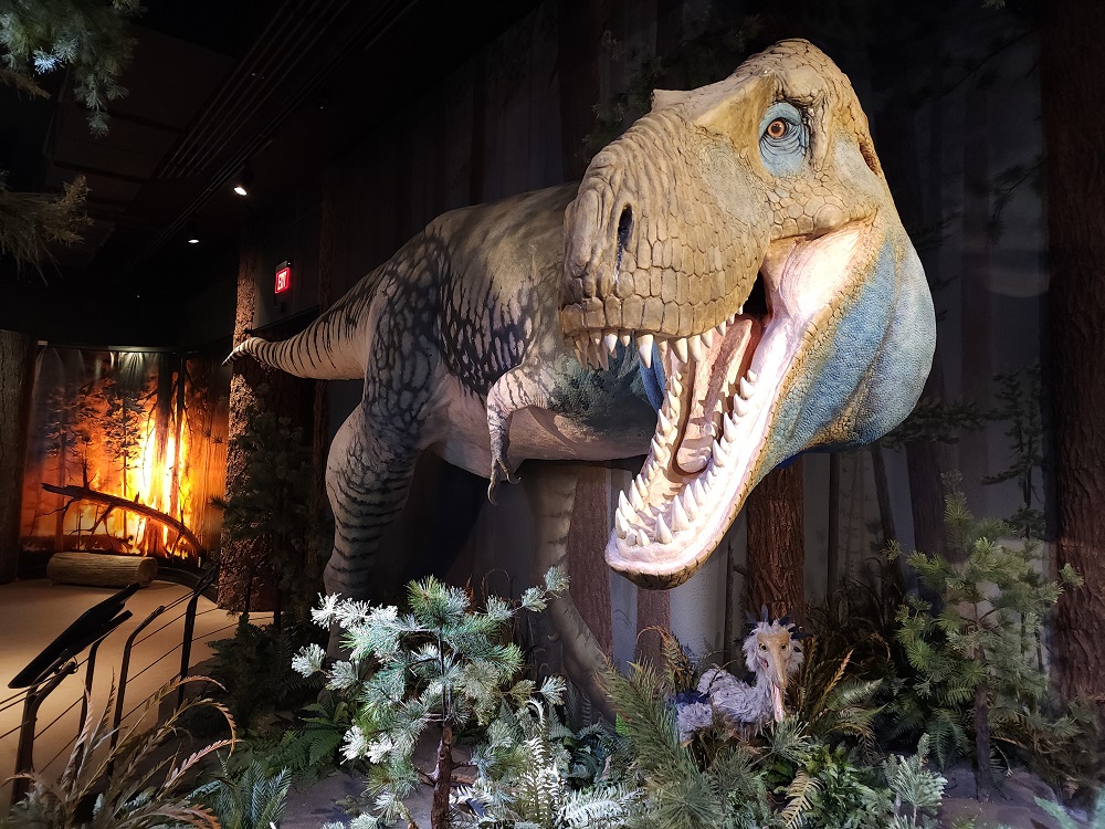 Dinosaur at AZMNH - 2