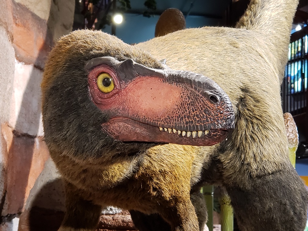 Dinosaur at AZMNH - 3