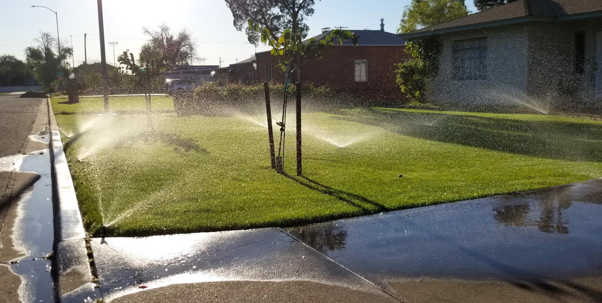 Watering Winter Grass Residential